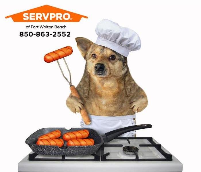 A dog wearing a chef’s hat and apron is cooking on a gas stove.
