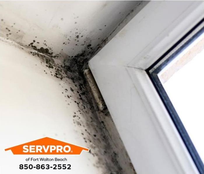 Mold grows along the edge of a leaking door. 