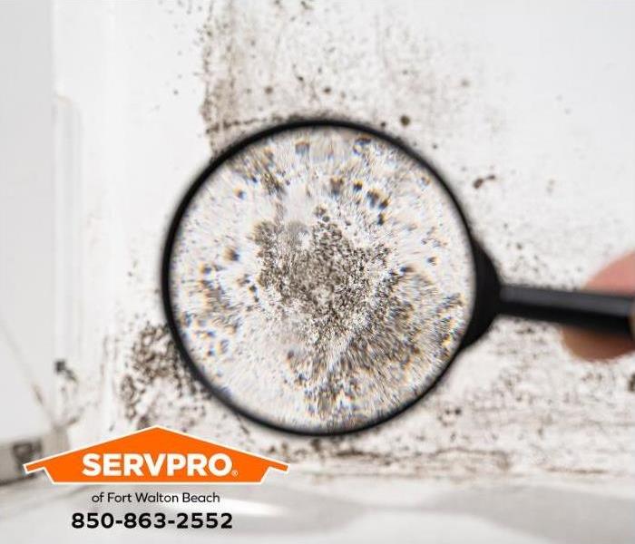 A mold outbreak is seen through a magnifying glass.